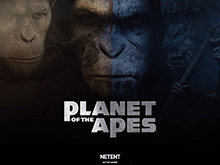 Planet Of The Apes от Netent: популярный автомат